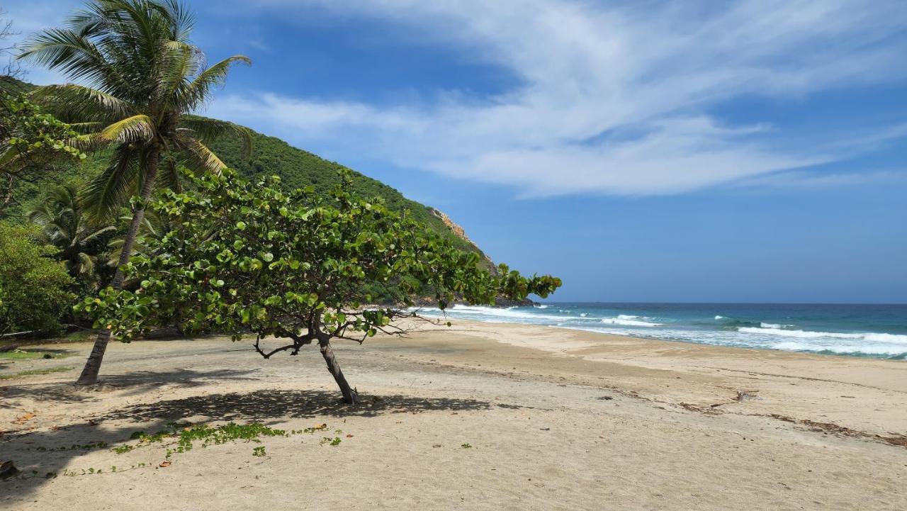 Ecolodge Playa Brava Teyumakke Calabazo  Kültér fotó